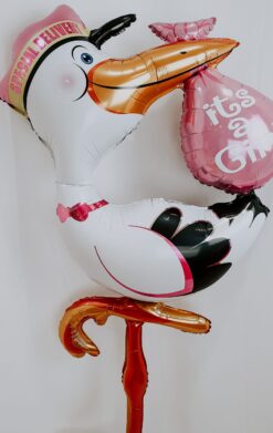 Baby Shower cigüeña