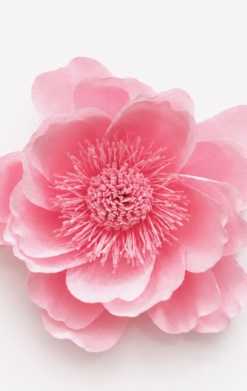 Flor