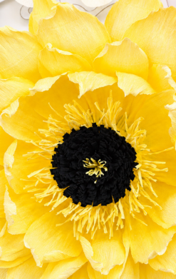 Flor