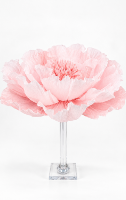 Flor con luz